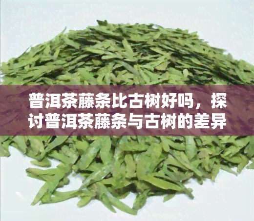 普洱茶藤条比古树好吗，探讨普洱茶藤条与古树的差异，哪种更好？