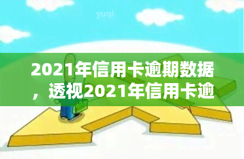 2021年信用卡逾期数据，透视2021年信用卡逾期数据：趋势、原因及应对策略