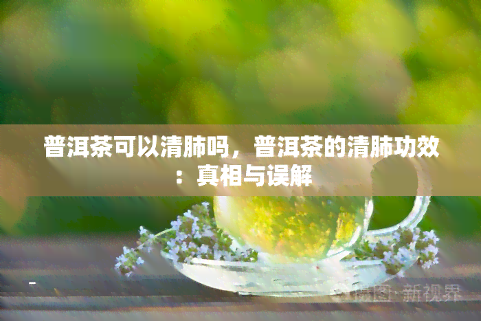 普洱茶可以清肺吗，普洱茶的清肺功效：真相与误解