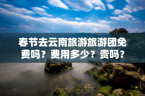 春节去云南旅游旅游团免费吗？费用多少？贵吗？