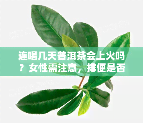 连喝几天普洱茶会上火吗？女性需注意，排便是否增多也是一大问题！