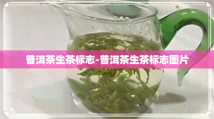 普洱茶生茶标志-普洱茶生茶标志图片