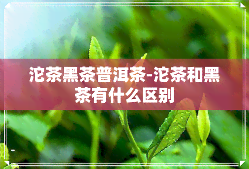 沱茶黑茶普洱茶-沱茶和黑茶有什么区别