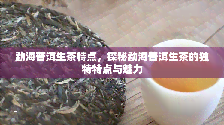 勐海普洱生茶特点，探秘勐海普洱生茶的独特特点与魅力