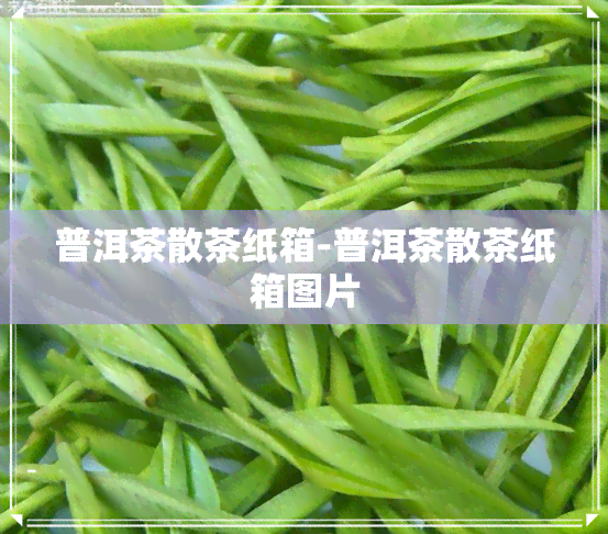 普洱茶散茶纸箱-普洱茶散茶纸箱图片