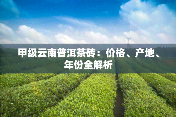 甲级云南普洱茶砖：价格、产地、年份全解析