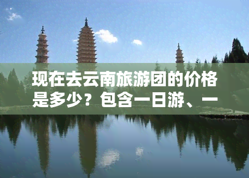 现在去云南旅游团的价格是多少？包含一日游、一人游、团体票等不同形式，以及适合的预算范围。