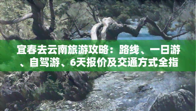 宜春去云南旅游攻略：路线、一日游、自驾游、6天报价及交通方式全指南