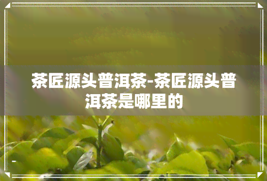 茶匠源头普洱茶-茶匠源头普洱茶是哪里的