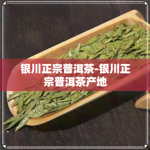 银川正宗普洱茶-银川正宗普洱茶产地