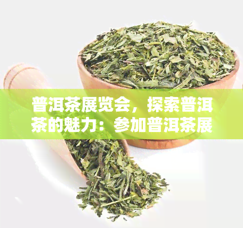 普洱茶展览会，探索普洱茶的魅力：参加普洱茶展览会，一中国茶文化的瑰宝