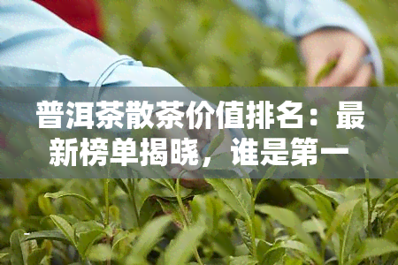 普洱茶散茶价值排名：最新榜单揭晓，谁是之一？