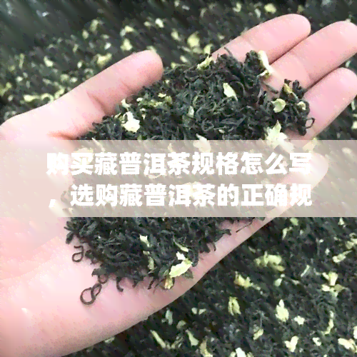 购买藏普洱茶规格怎么写，选购藏普洱茶的正确规格，你get了吗？