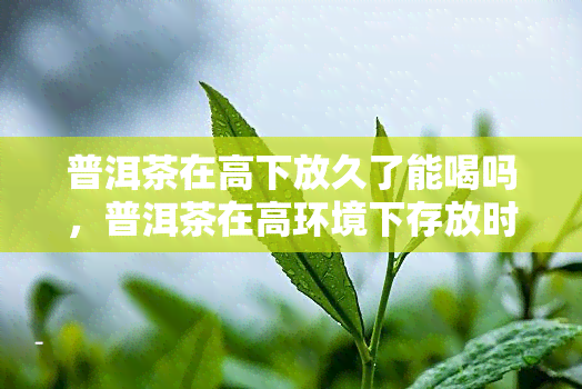 普洱茶在高下放久了能喝吗，普洱茶在高环境下存放时间过长是否还能饮用？