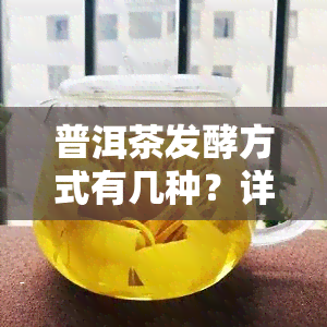 普洱茶发酵方式有几种？详解其原理、工艺流程与类型