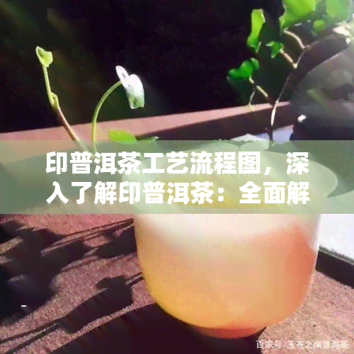 印普洱茶工艺流程图，深入了解印普洱茶：全面解析其独特工艺流程图