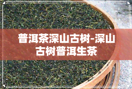 普洱茶深山古树-深山古树普洱生茶