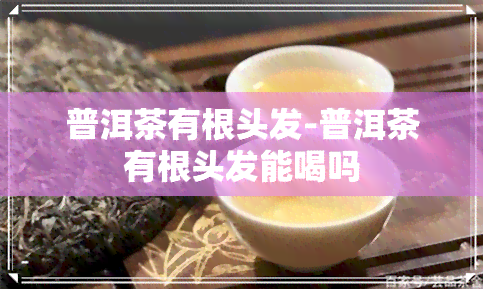 普洱茶有根头发-普洱茶有根头发能喝吗