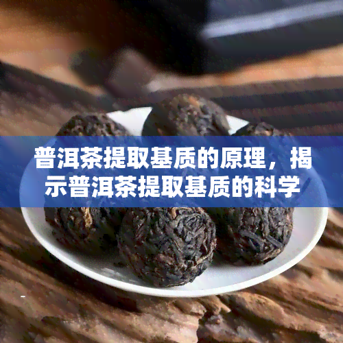 普洱茶提取基质的原理，揭示普洱茶提取基质的科学原理