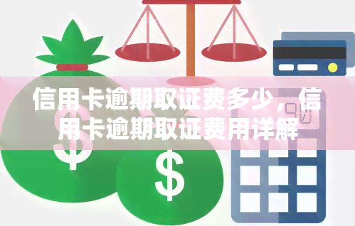 信用卡逾期取证费多少，信用卡逾期取证费用详解