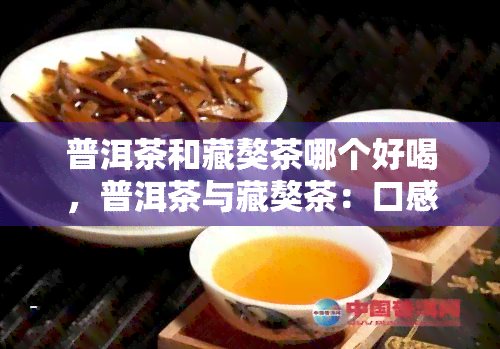 普洱茶和藏獒茶哪个好喝，普洱茶与藏獒茶：口感对比，哪一种更胜一筹？