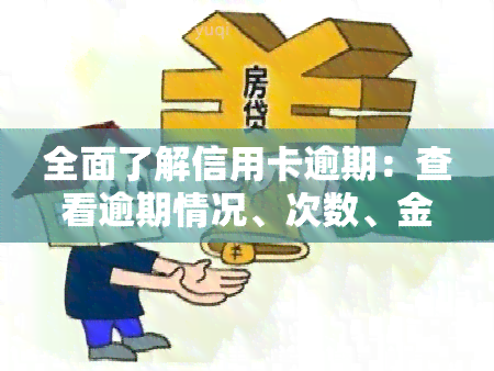 全面了解信用卡逾期：查看逾期情况、次数、金额及状态的方法