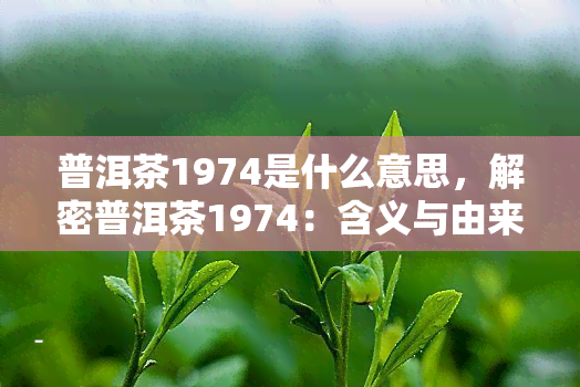 普洱茶1974是什么意思，解密普洱茶1974：含义与由来