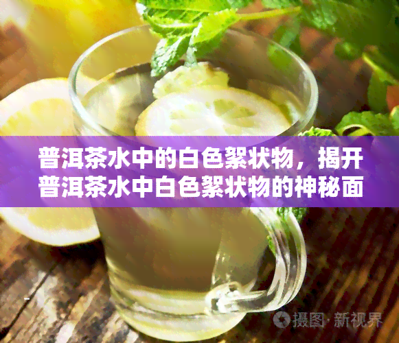 普洱茶水中的白色絮状物，揭开普洱茶水中白色絮状物的神秘面纱