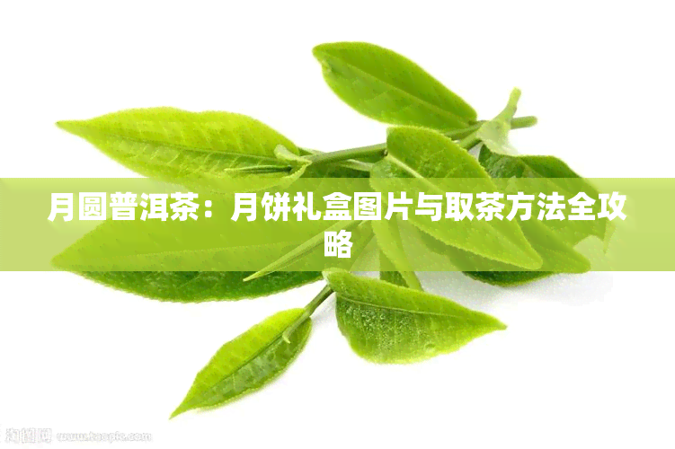 月圆普洱茶：月饼礼盒图片与取茶方法全攻略