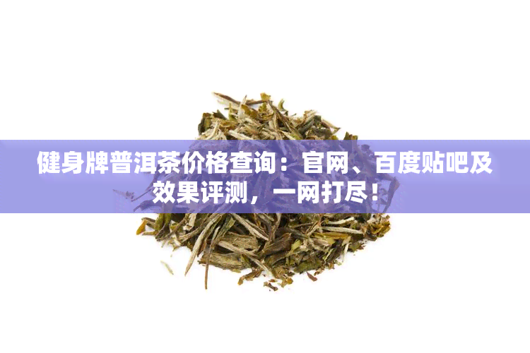 健身牌普洱茶价格查询：官网、百度贴吧及效果评测，一网打尽！