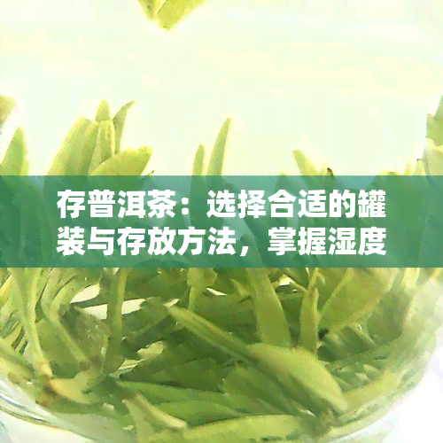 存普洱茶：选择合适的罐装与存放方法，掌握湿度要求与容器使用技巧