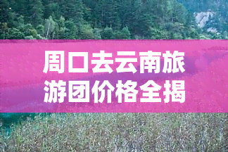 周口去云南旅游团价格全揭秘：机票、住宿、餐饮等费用一网打尽！