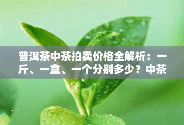 普洱茶中茶拍卖价格全解析：一斤、一盒、一个分别多少？中茶普洱茶收藏价值如何？