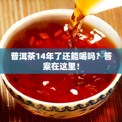 普洱茶14年了还能喝吗？答案在这里！