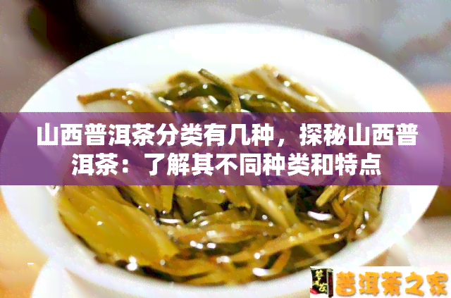 山西普洱茶分类有几种，探秘山西普洱茶：了解其不同种类和特点