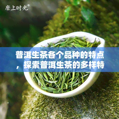 普洱生茶各个品种的特点，探索普洱生茶的多样特性：各品种的区别与特点