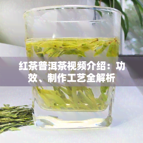 红茶普洱茶视频介绍：功效、制作工艺全解析