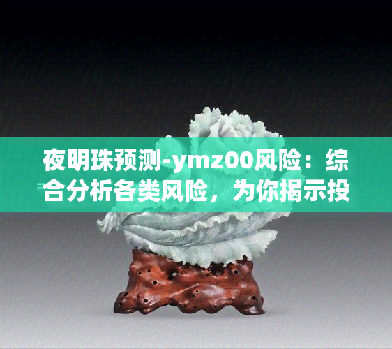 夜明珠预测-ymz00风险：综合分析各类风险，为你揭示投资真相