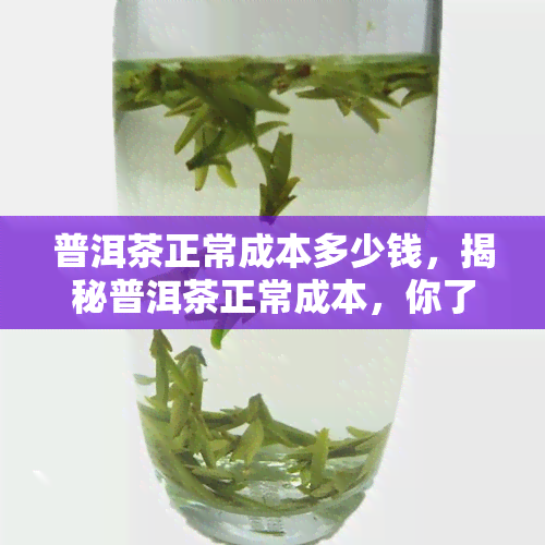 普洱茶正常成本多少钱，揭秘普洱茶正常成本，你了解多少？