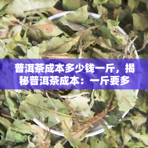 普洱茶成本多少钱一斤，揭秘普洱茶成本：一斤要多少钱？