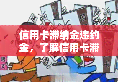 信用卡滞纳金违约金，了解信用卡滞纳金和违约金：你应该知道的一切