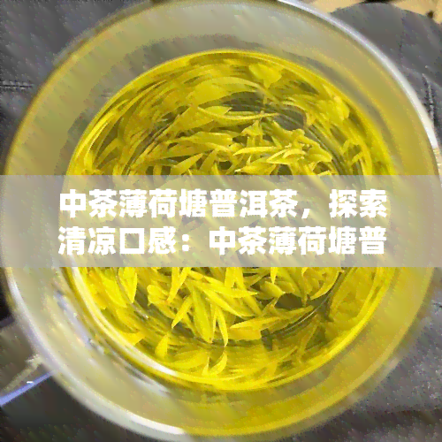 中茶薄荷塘普洱茶，探索清凉口感：中茶薄荷塘普洱茶的魅力