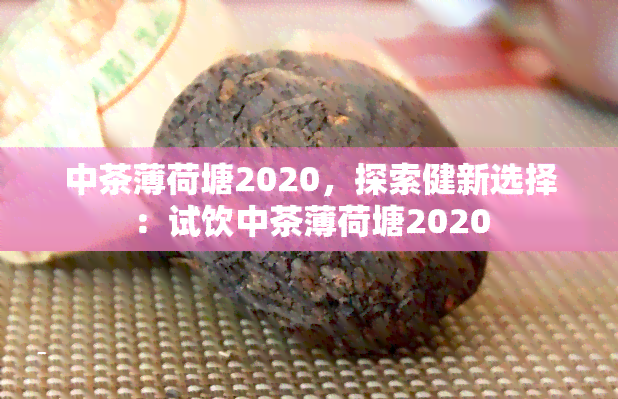 中茶薄荷塘2020，探索健新选择：试饮中茶薄荷塘2020