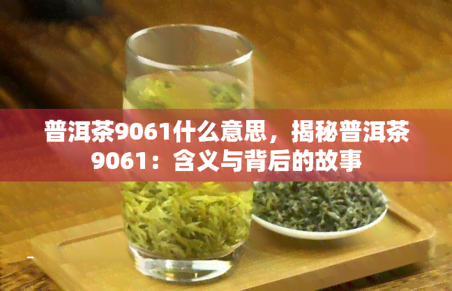 普洱茶9061什么意思，揭秘普洱茶9061：含义与背后的故事