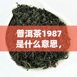 普洱茶1987是什么意思，解密普洱茶1987：背后的故事与含义