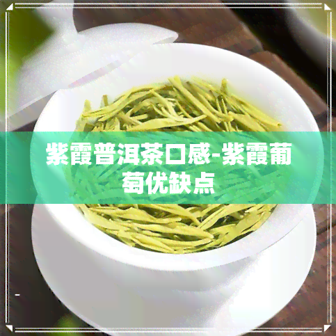 紫霞普洱茶口感-紫霞葡萄优缺点