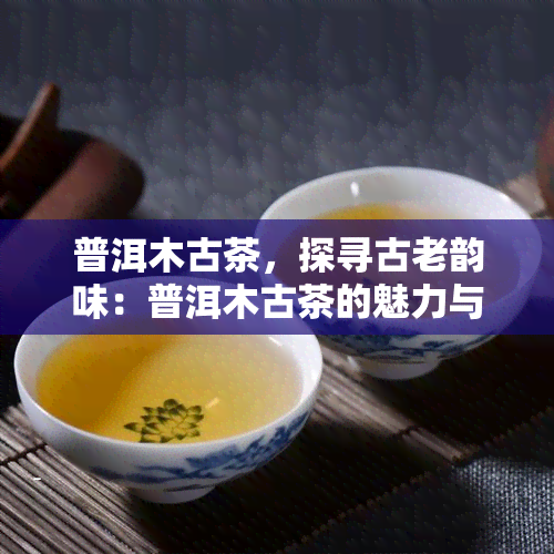 普洱木古茶，探寻古老韵味：普洱木古茶的魅力与价值