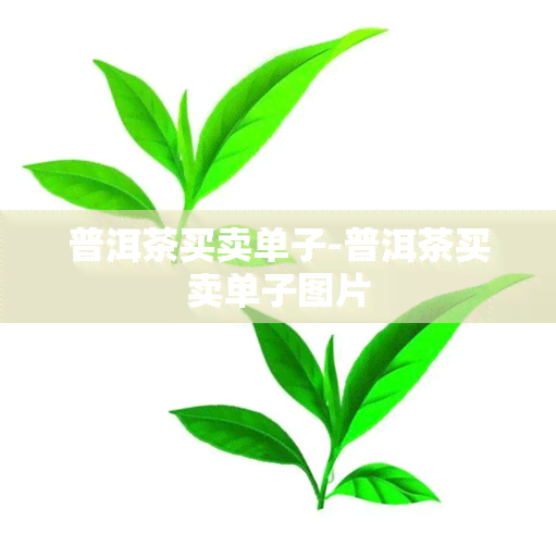 普洱茶买卖单子-普洱茶买卖单子图片