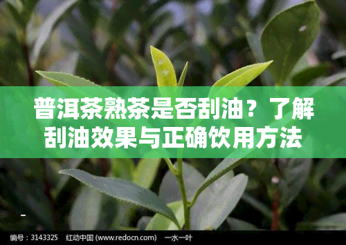 普洱茶熟茶是否刮油？了解刮油效果与正确饮用方法