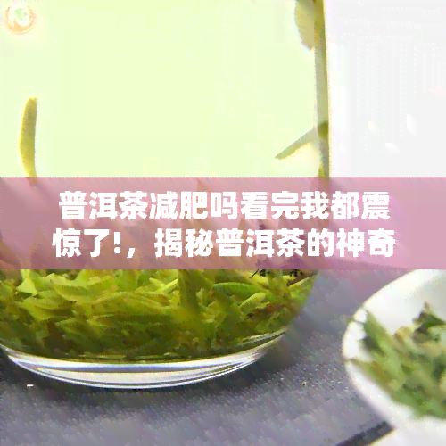 普洱茶减肥吗看完我都震惊了!，揭秘普洱茶的神奇功效：你可能不知道它竟然能这样减肥！